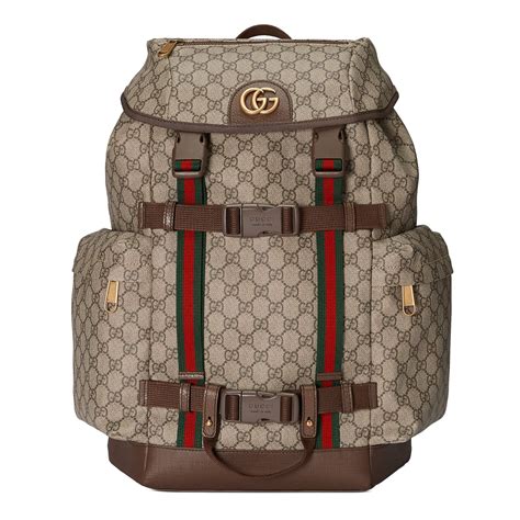 gucci skateboard bag.